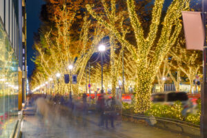 Holiday lighting services